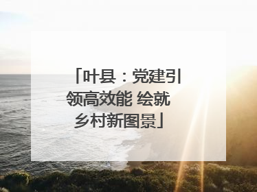 叶县：党建引领高效能 绘就乡村新图景