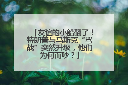 友谊的小船翻了！特朗普与马斯克“骂战”突然升级，他们为何而吵？