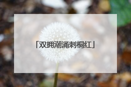 双拥潮涌刺桐红