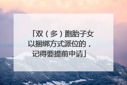 双（多）胞胎子女以捆绑方式派位的，记得要提前申请
