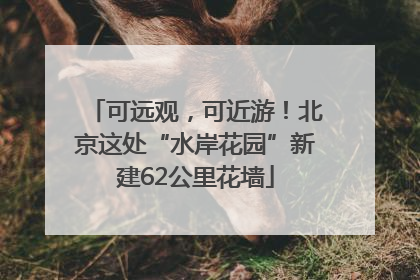 可远观，可近游！北京这处“水岸花园”新建62公里花墙