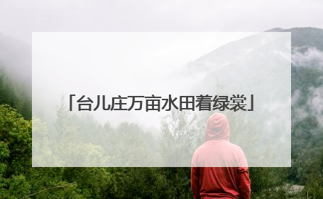 台儿庄万亩水田着绿裳