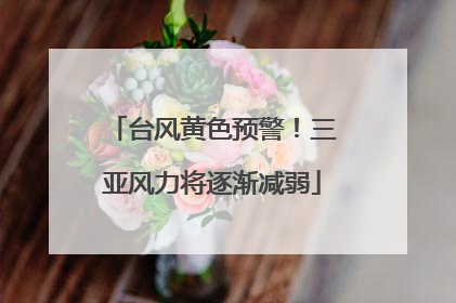 台风黄色预警！三亚风力将逐渐减弱