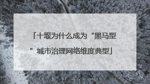 十堰为什么成为“黑马型”城市治理网络维度典型