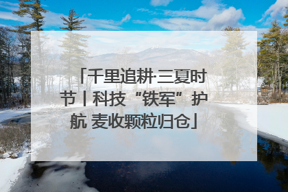 千里追耕·三夏时节丨科技“铁军”护航 麦收颗粒归仓