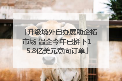 升级境外自办展助企拓市场 温企今年已拼下15.8亿美元意向订单