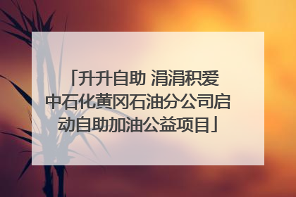 升升自助 涓涓积爱 中石化黄冈石油分公司启动自助加油公益项目