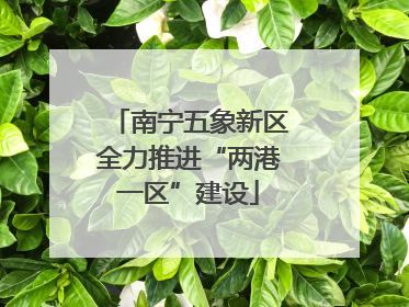 南宁五象新区全力推进“两港一区”建设