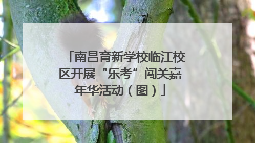 南昌育新学校临江校区开展“乐考”闯关嘉年华活动（图）