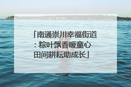 南通崇川幸福街道：粽叶飘香暖童心 田间耕耘助成长