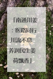 南通川姜：医路同行川流不息 养润民生姜荷飘香
