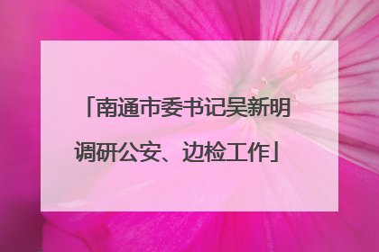 南通市委书记吴新明调研公安、边检工作