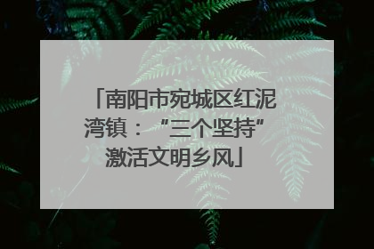 南阳市宛城区红泥湾镇：“三个坚持”激活文明乡风