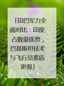 印巴军力全面对比：印度占数量优势，巴基斯坦技术与飞行员素质更强
