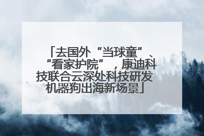 去国外“当球童”、“看家护院”，康迪科技联合云深处科技研发机器狗出海新场景