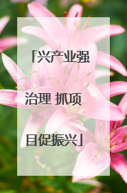 兴产业强治理 抓项目促振兴