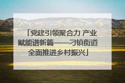党建引领聚合力 产业赋能谱新篇——刁镇街道全面推进乡村振兴