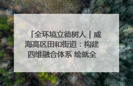 全环境立德树人｜威海高区田和街道：构建四维融合体系 绘就全环境立德树人新画卷