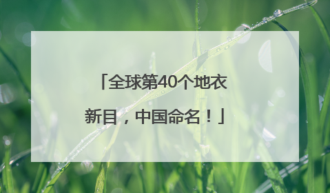 全球第40个地衣新目，中国命名！