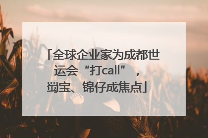 全球企业家为成都世运会“打call”，蜀宝、锦仔成焦点