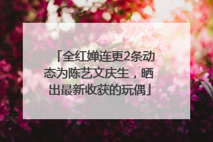全红婵连更2条动态为陈艺文庆生，晒出最新收获的玩偶