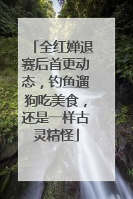 全红婵退赛后首更动态，钓鱼遛狗吃美食，还是一样古灵精怪