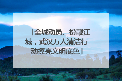 全城动员、扮靓江城，武汉万人清洁行动擦亮文明底色