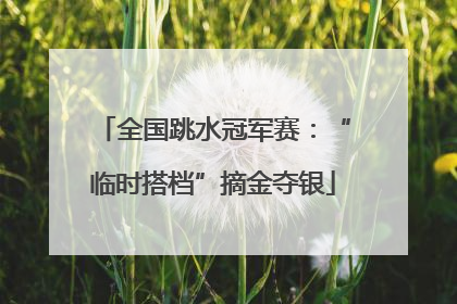 全国跳水冠军赛：“临时搭档”摘金夺银