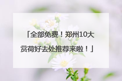全部免费！郑州10大赏荷好去处推荐来啦！