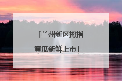 兰州新区拇指黄瓜新鲜上市