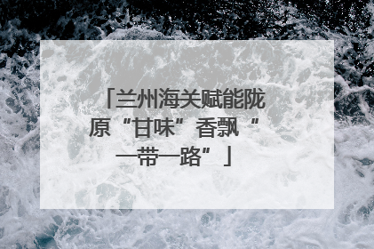 兰州海关赋能陇原“甘味”香飘“一带一路”