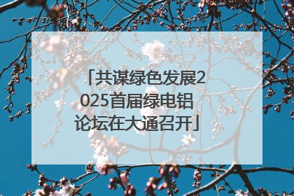 共谋绿色发展2025首届绿电铝论坛在大通召开