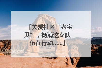 关爱社区“老宝贝”，杨浦这支队伍在行动……