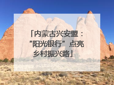 内蒙古兴安盟：“阳光银行”点亮乡村振兴路