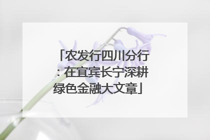 农发行四川分行：在宜宾长宁深耕绿色金融大文章