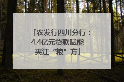 农发行四川分行：4.4亿元贷款赋能夹江“粮”方