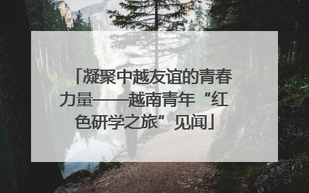 凝聚中越友谊的青春力量——越南青年“红色研学之旅”见闻