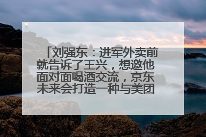 刘强东：进军外卖前就告诉了王兴，想邀他面对面喝酒交流，京东未来会打造一种与美团不同的商业模式