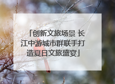 创新文旅场景 长江中游城市群联手打造夏日文旅盛宴