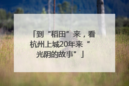 到“稻田”来，看杭州上城20年来“光阴的故事”