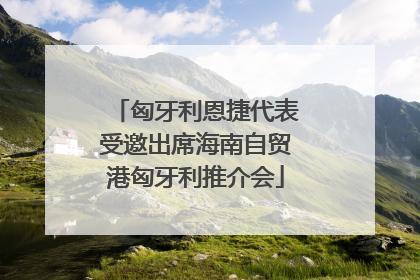 匈牙利恩捷代表受邀出席海南自贸港匈牙利推介会