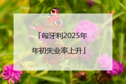 匈牙利2025年年初失业率上升