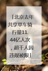北京去年共享单车骑行量11.44亿人次，超千人因违规被限