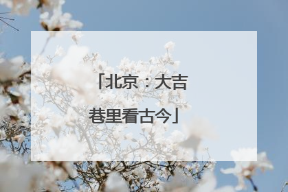 北京：大吉巷里看古今