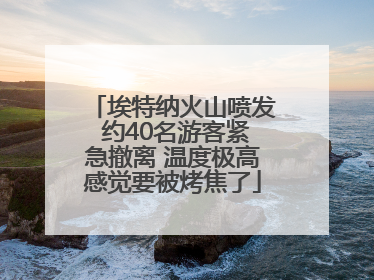埃特纳火山喷发 约40名游客紧急撤离 温度极高感觉要被烤焦了