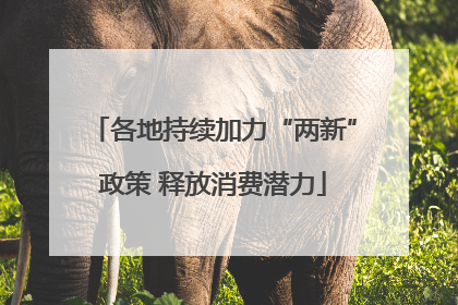 各地持续加力“两新”政策 释放消费潜力