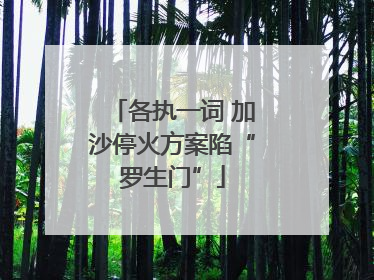 各执一词 加沙停火方案陷“罗生门”