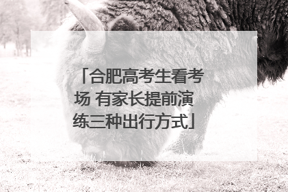 合肥高考生看考场 有家长提前演练三种出行方式