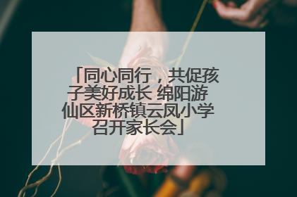 同心同行，共促孩子美好成长 绵阳游仙区新桥镇云凤小学召开家长会