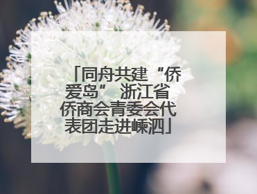 同舟共建“侨爱岛” 浙江省侨商会青委会代表团走进嵊泗